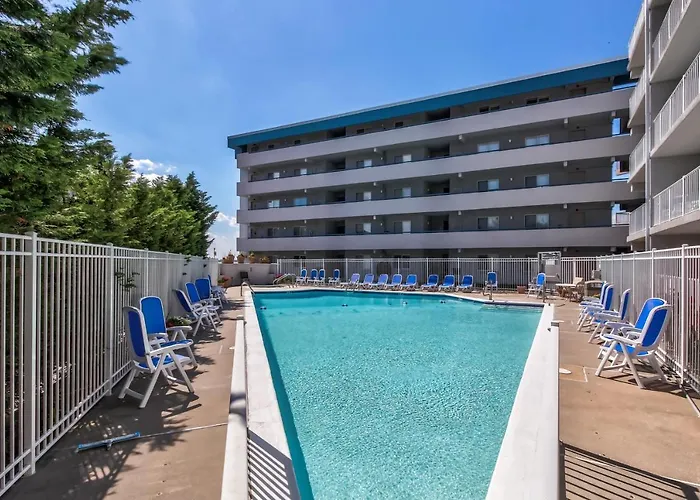 Apartment Triton's Trumpet Treat